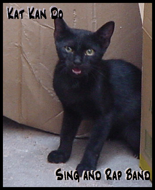 Kat Kan Do Sing and Rap Band